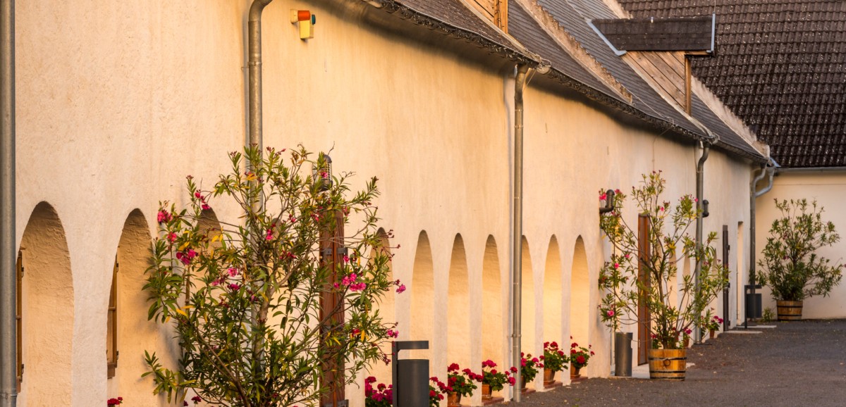 : Innenhof Schloss Lackenbach © Andreas Hafenscher