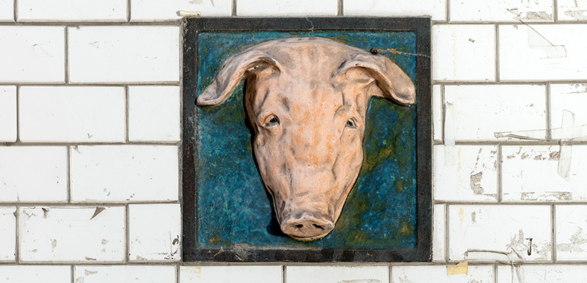 : Foto: Klaus Pichler 