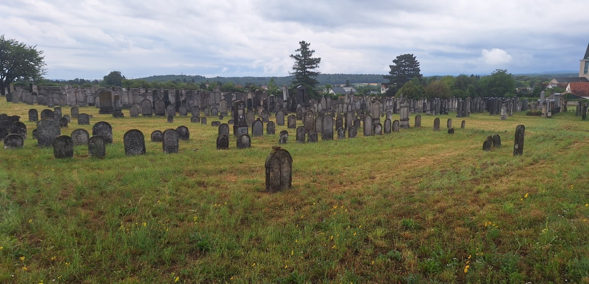 : Jüdischer Friedhof Lackenbach © Susanne Bezdek